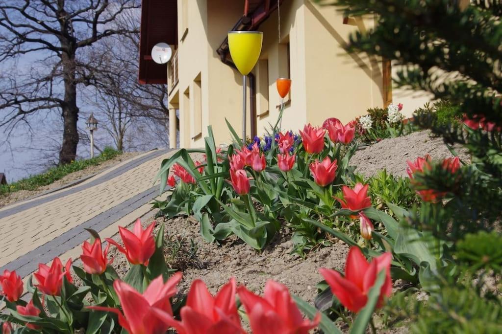 Apartament Zacisze 우스트론 외부 사진